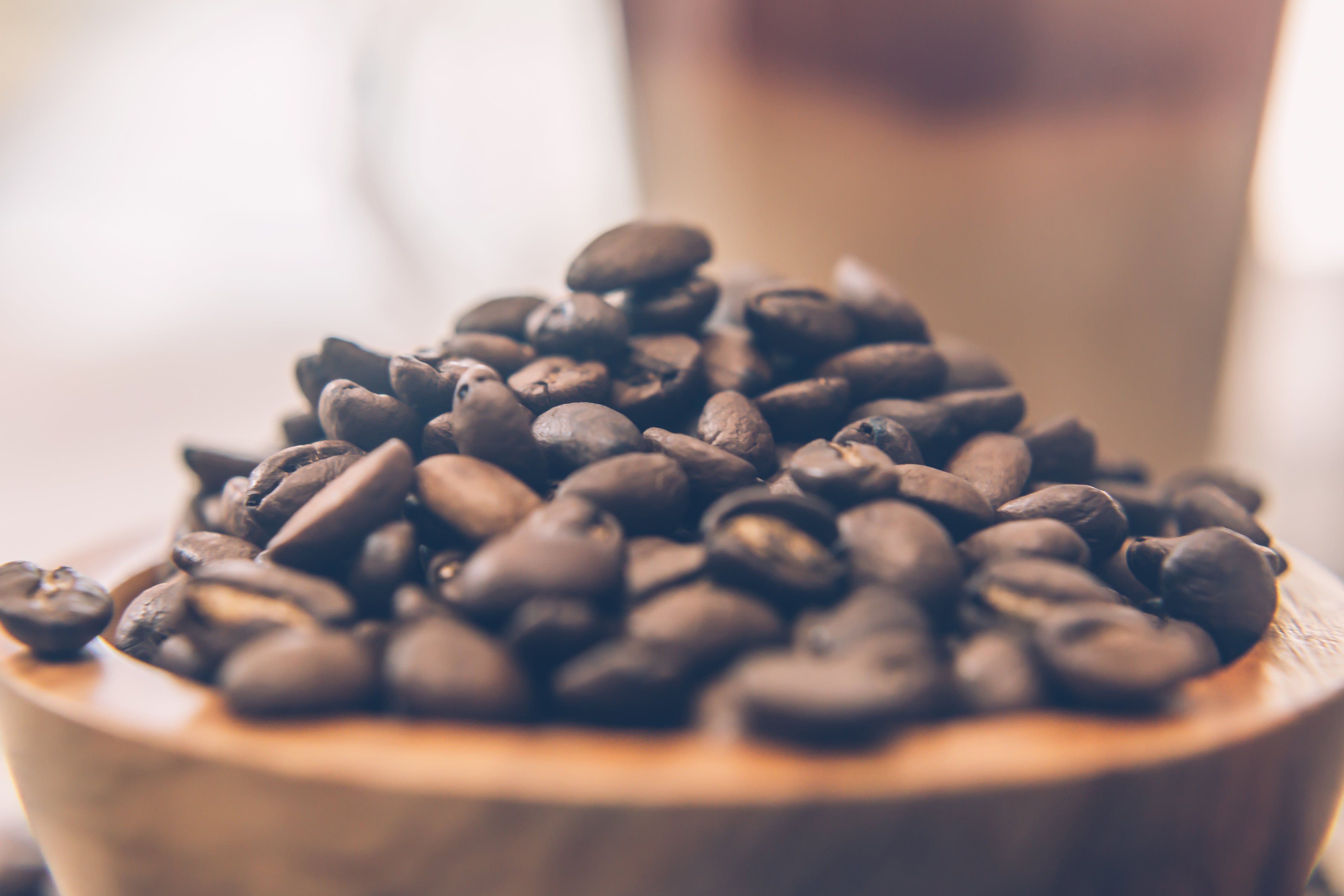 Phoebe Rose Coffee Beans