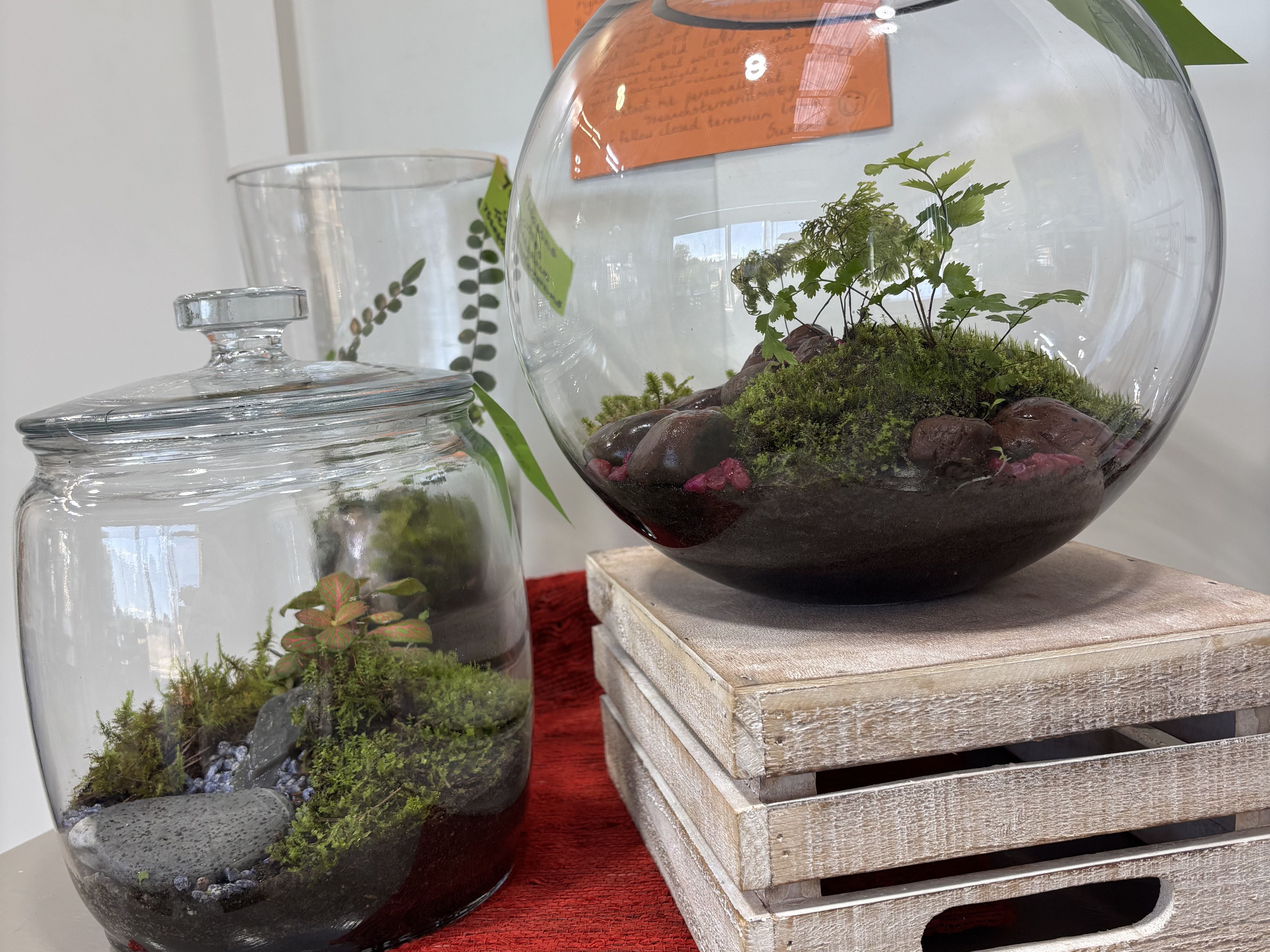 7 Seasons Terrariums