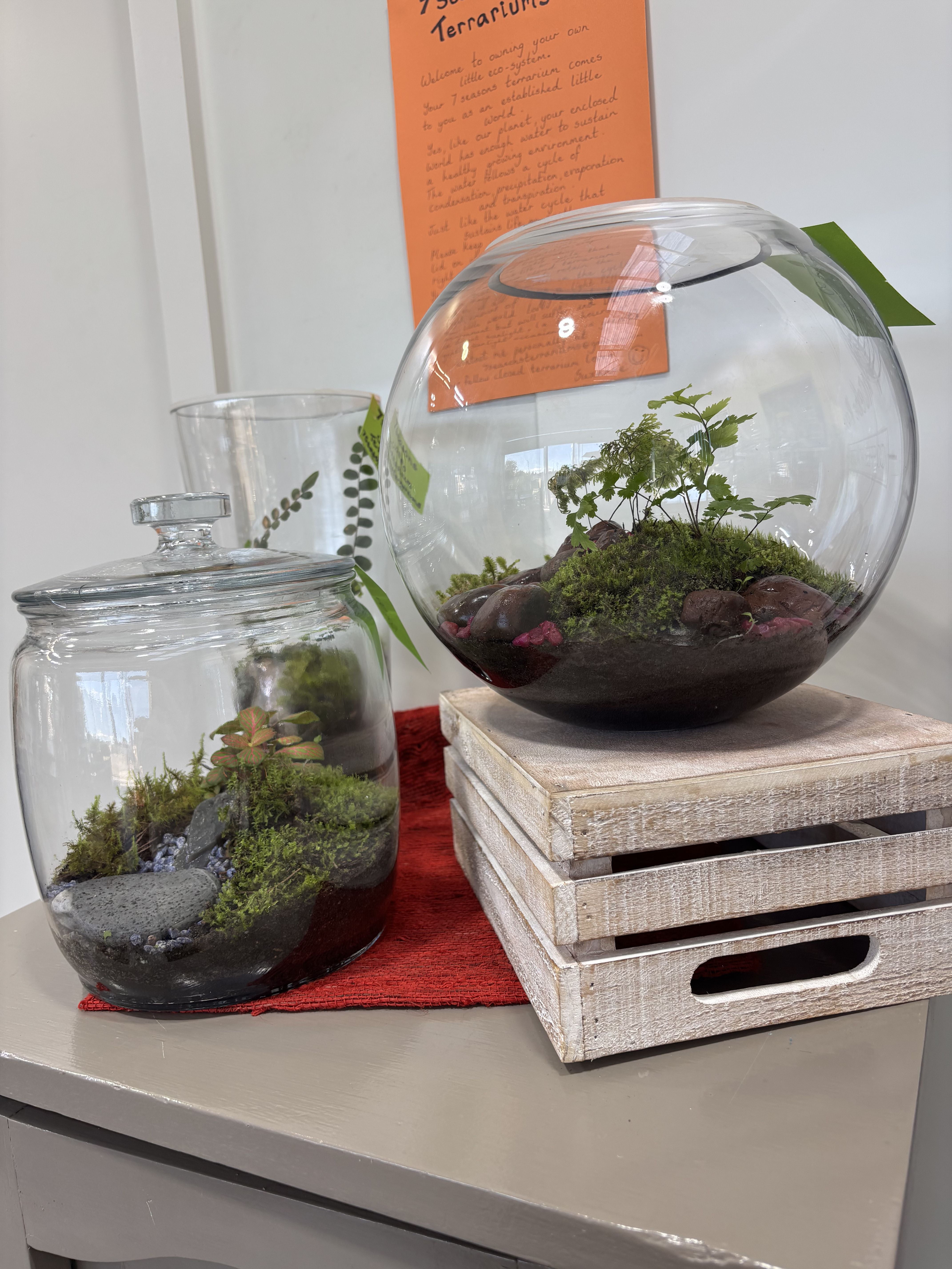 7 Seasons Terrariums
